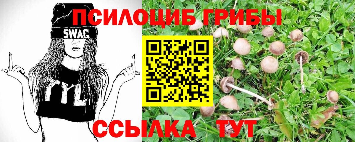 Псилоцибиновые грибы GOLDEN TEACHER Зерноград