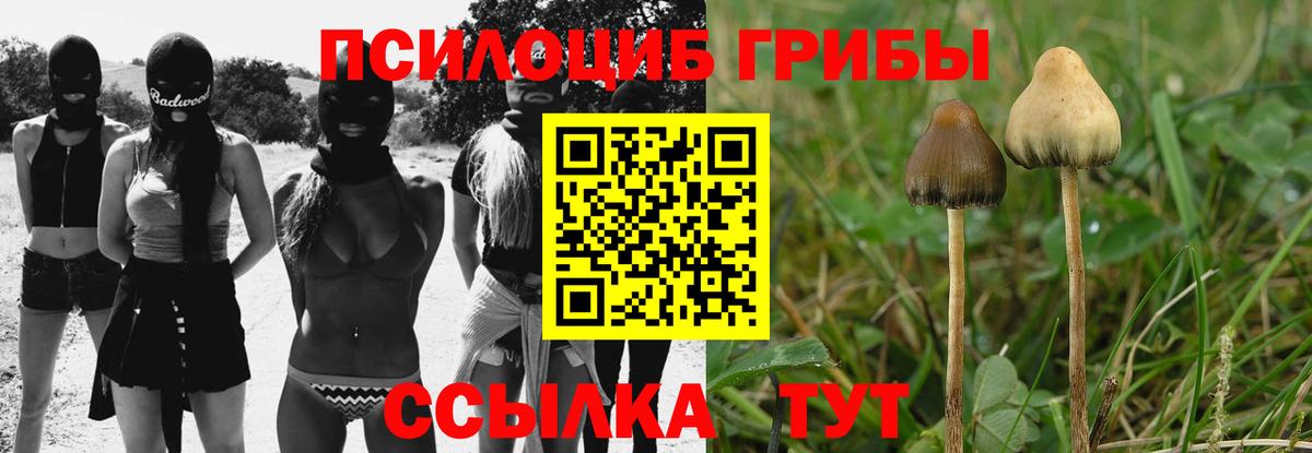 Псилоцибиновые грибы GOLDEN TEACHER  Вход с VPN  Зерноград 